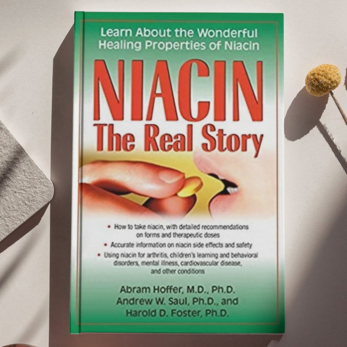 Niacin : The Real Story: Learn About the Wonderful Healing Properties of Niacin