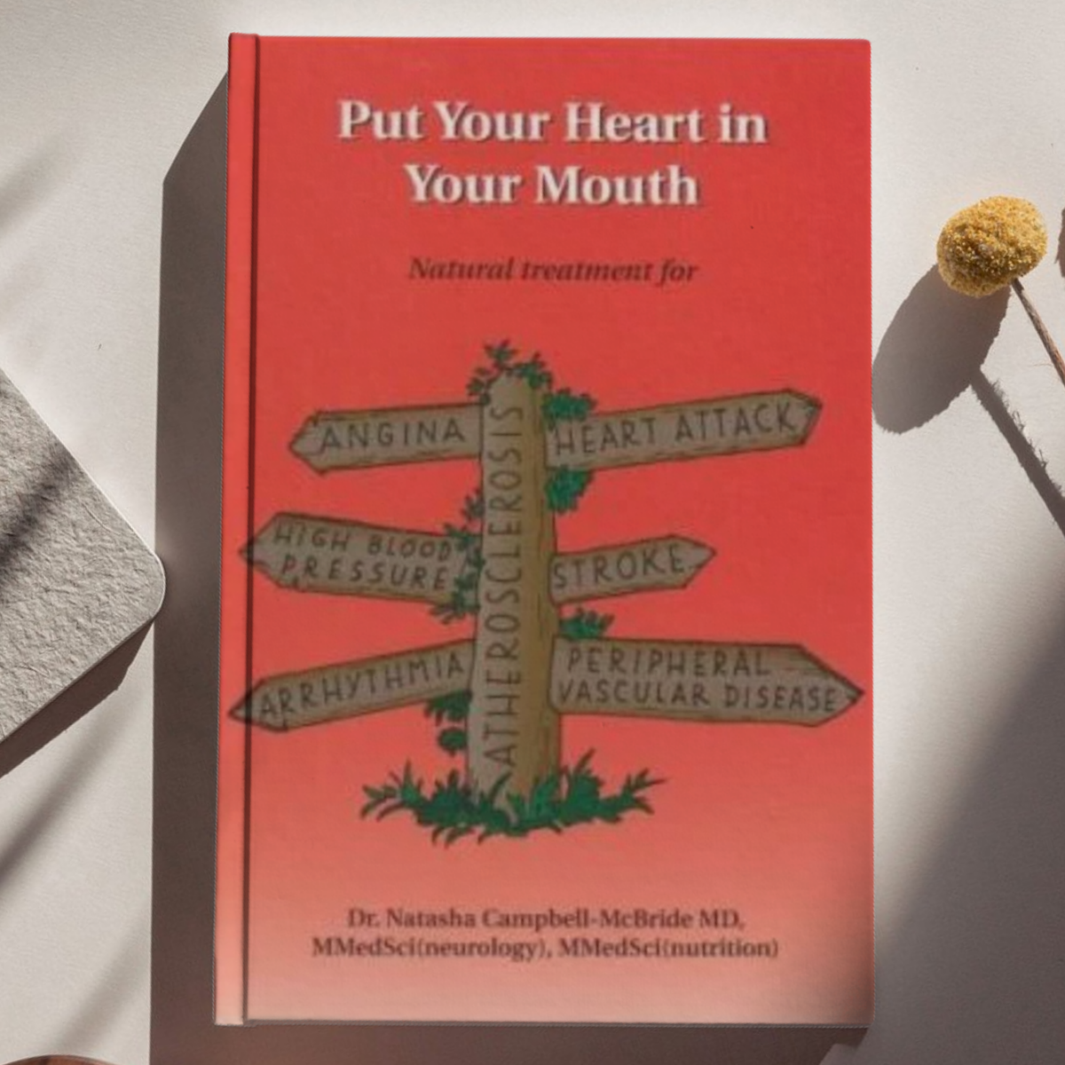 Book - Put your heart in your mouth - Dr Campbell-McBride