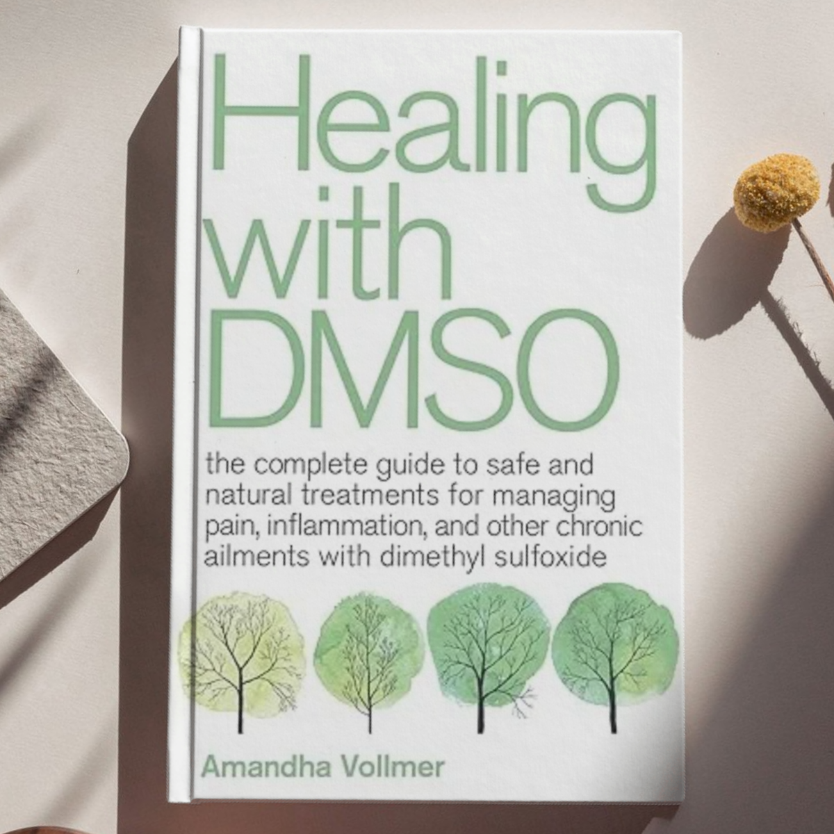 Healing with DMSO - Amanda Vollmer